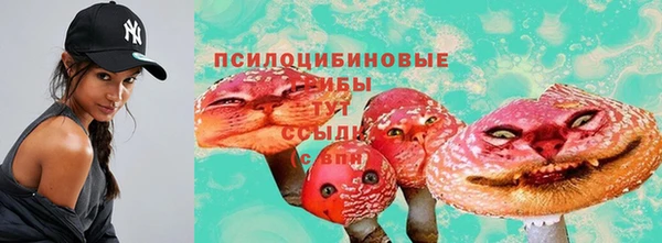 шишки Верхний Тагил